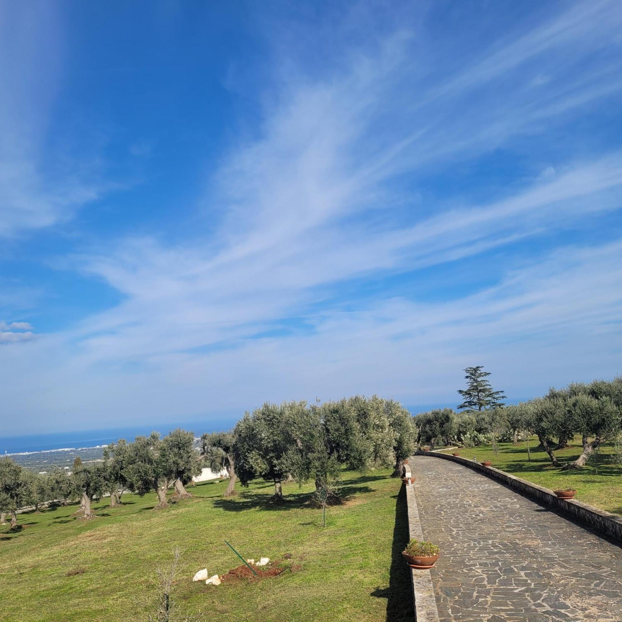 Terracielomare Apartments Monopoli Dış mekan fotoğraf
