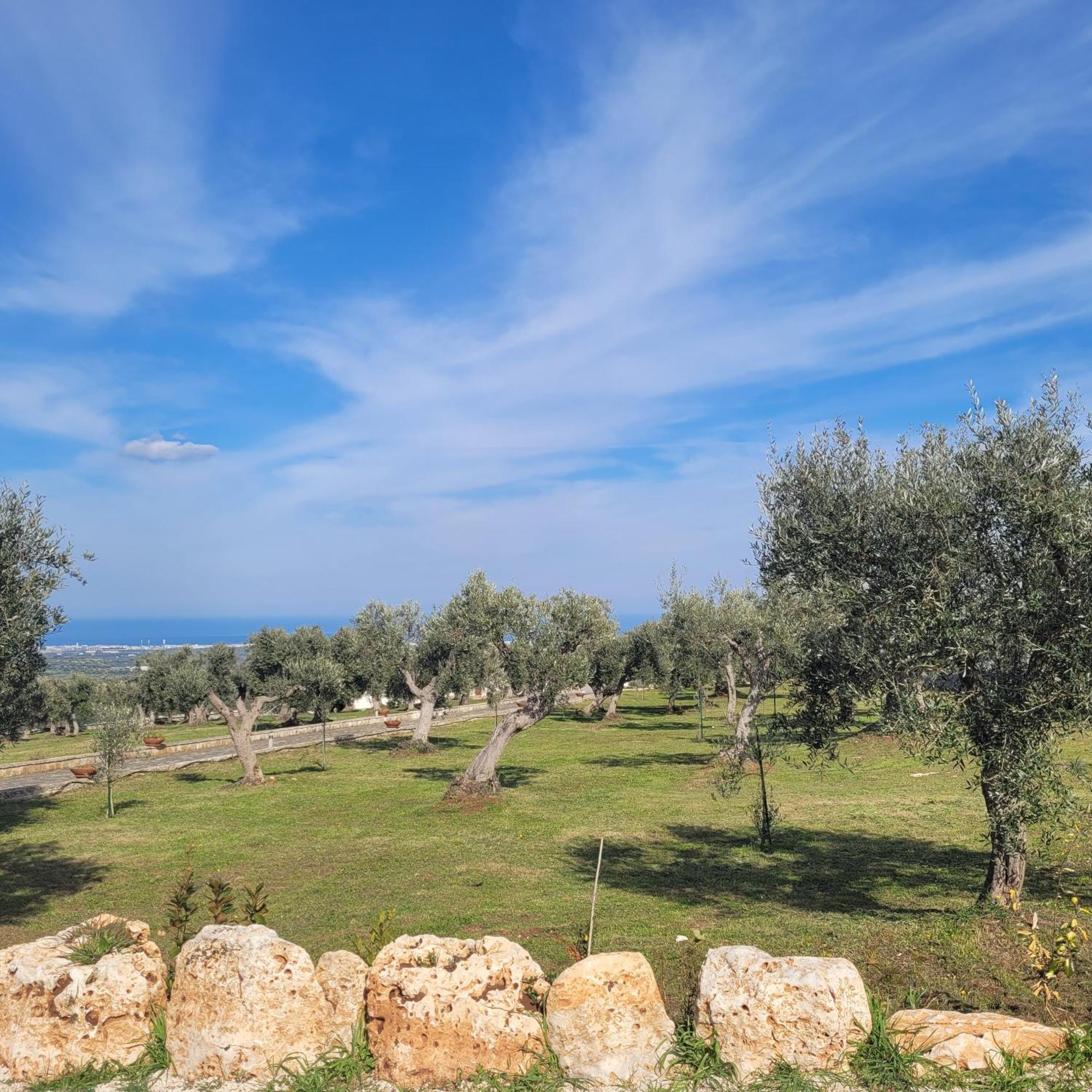 Terracielomare Apartments Monopoli Dış mekan fotoğraf